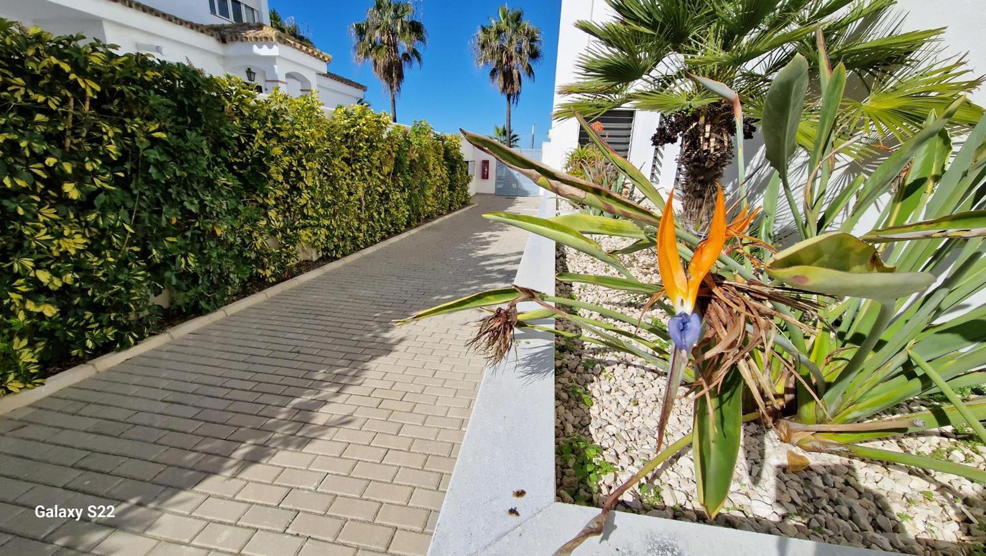 Boutelou Playa Con Vistas Al Mar Daire Sanlúcar de Barrameda Dış mekan fotoğraf